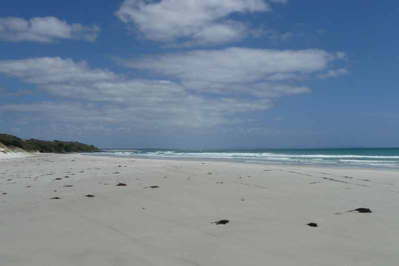 Nieuw-Zeeland 2011 - 0314